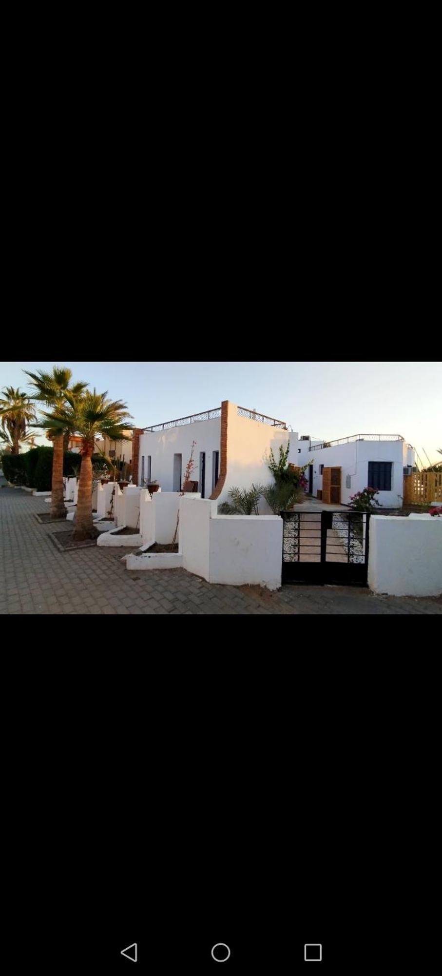 Abouseif Guest House 샤름 엘 셰이크 객실 사진