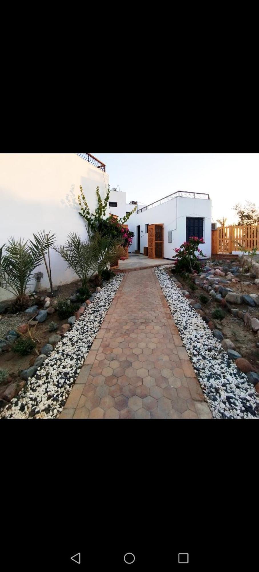 Abouseif Guest House 샤름 엘 셰이크 객실 사진
